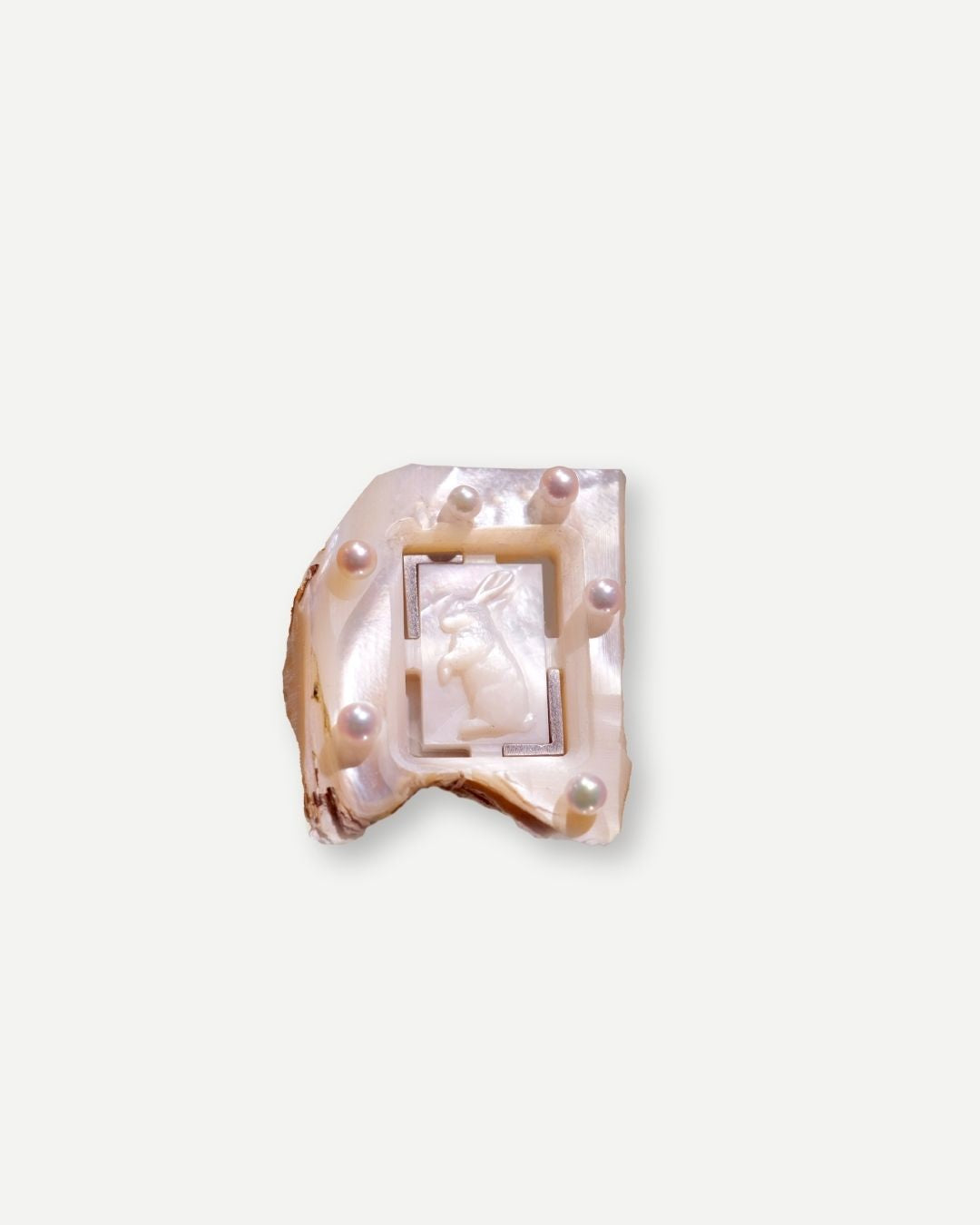 Cut_ Cameo_ Rabbit_ no1
