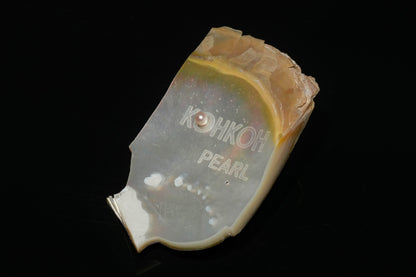 Laser_ Pin brooch