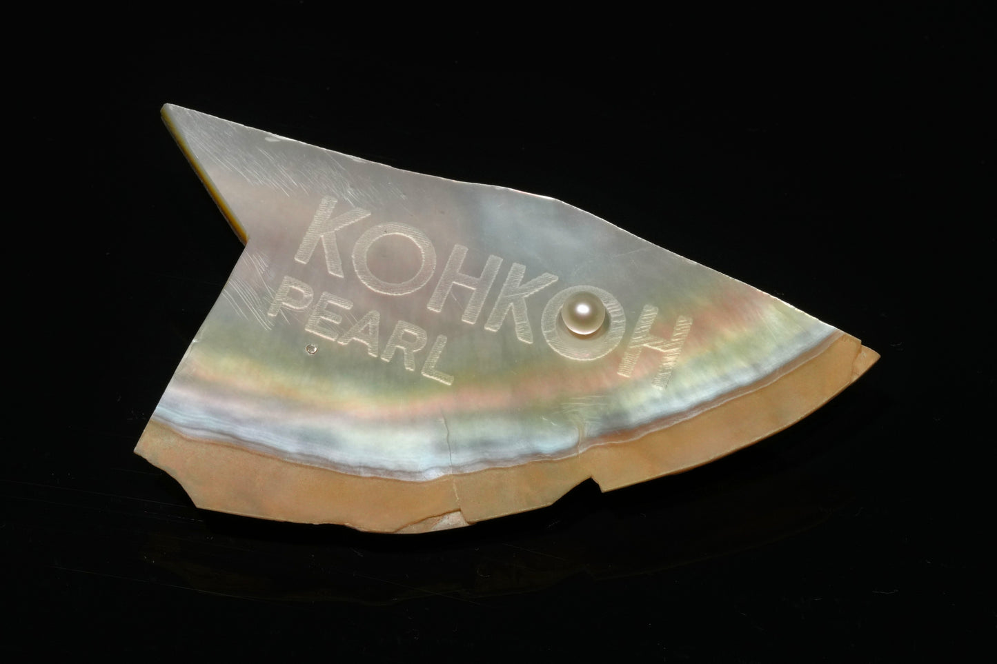 Laser_ Pin brooch