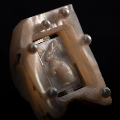 Cut_ Cameo_ Rabbit_ no1